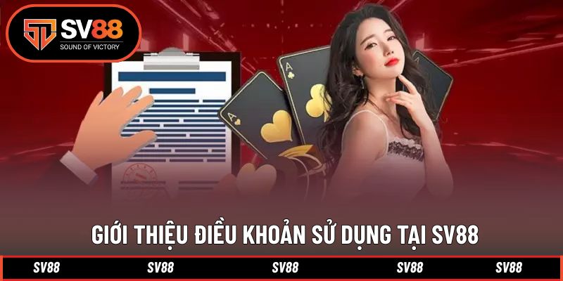 Giới thiệu chi tiết thông tin điều khoản sử dụng
