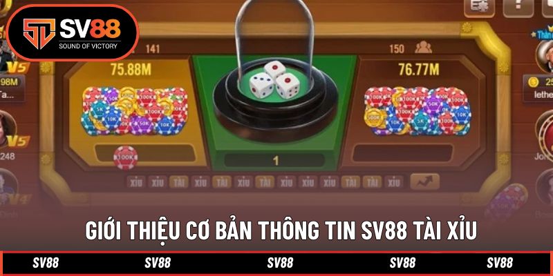 Tổng quan thông tin chinh phục game Tài xỉu Tổng quan thông tin chinh phục game Tài xỉu