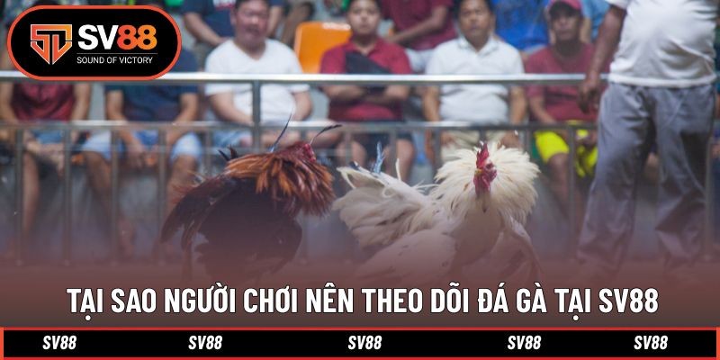 Lý do mà người chơi nên theo dõi trực tiếp thi đấu