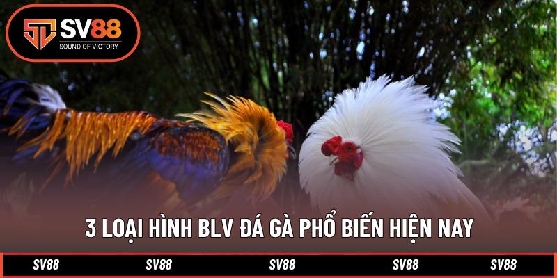3 Loại hình BLV đá gà phổ biến hiện nay
