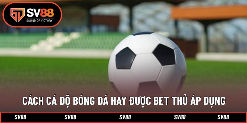 Cách cá độ bóng đá hay được bet thủ áp dụng