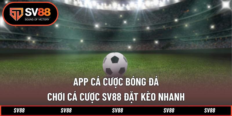 App Cá Cược Bóng Đá