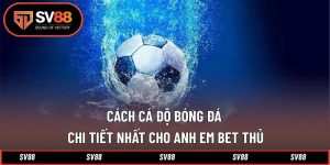 Cách Cá Độ Bóng Đá