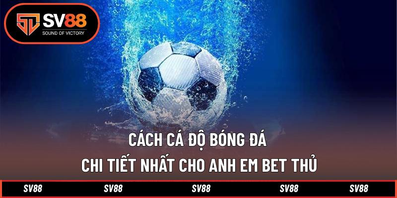 Cách Cá Độ Bóng Đá