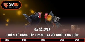 Đá gà SV88