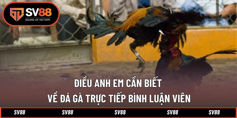 Điều anh em cần biết về đá gà trực tiếp bình luận viên