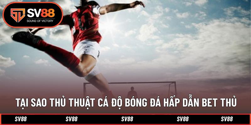Tại sao thủ thuật cá độ bóng đá hấp dẫn bet thủ