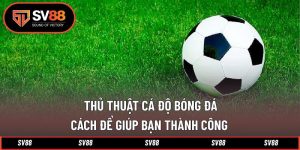 Thủ Thuật Cá Độ Bóng Đá