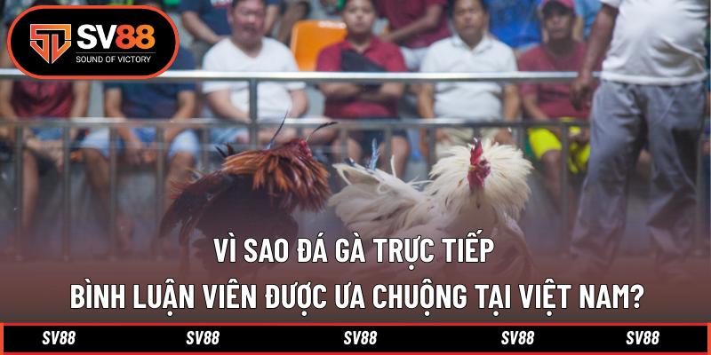 Vì sao đá gà trực tiếp bình luận viên được ưa chuộng tại Việt Nam?